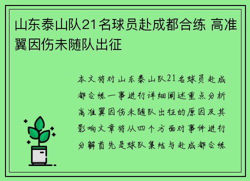 山东泰山队21名球员赴成都合练 高准翼因伤未随队出征