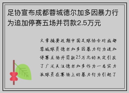 足协宣布成都蓉城德尔加多因暴力行为追加停赛五场并罚款2.5万元
